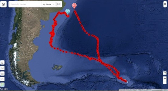Rastreo satelital del ejemplar marcado el día 10 de octubre de 2025.
El círculo celeste indica el inicio del recorrido. El círculo rosa la posición correspondiente a la última observación.
Esta imagen indica la la trayectoria al día 28 de octubre.
Entre los días 23 y 25 de octubre el ejemplar permaneció en las Islas Georgias del Sur.